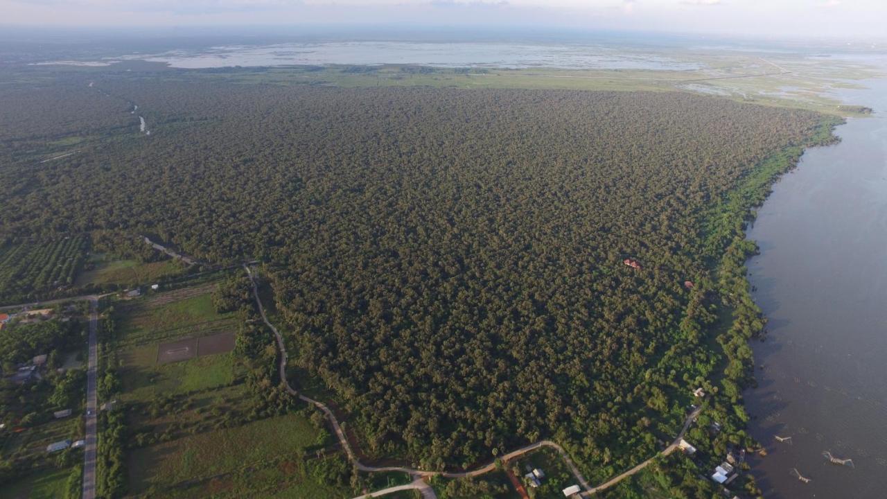 Wetlandcamp บ้านชายเล Phatthalung Exteriör bild